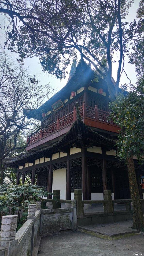 拯救落难小鸟
